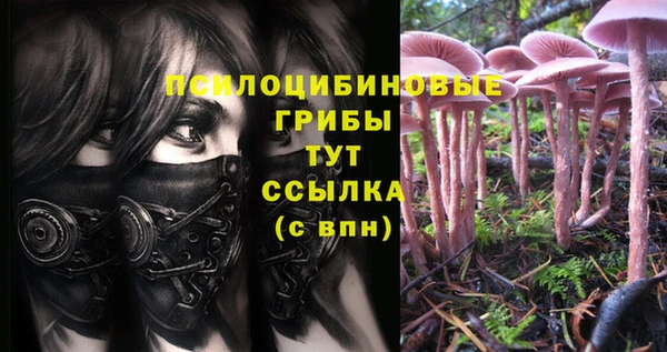 скорость Балабаново